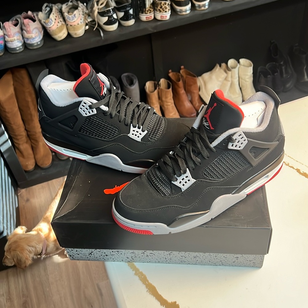 Jordan bred 4